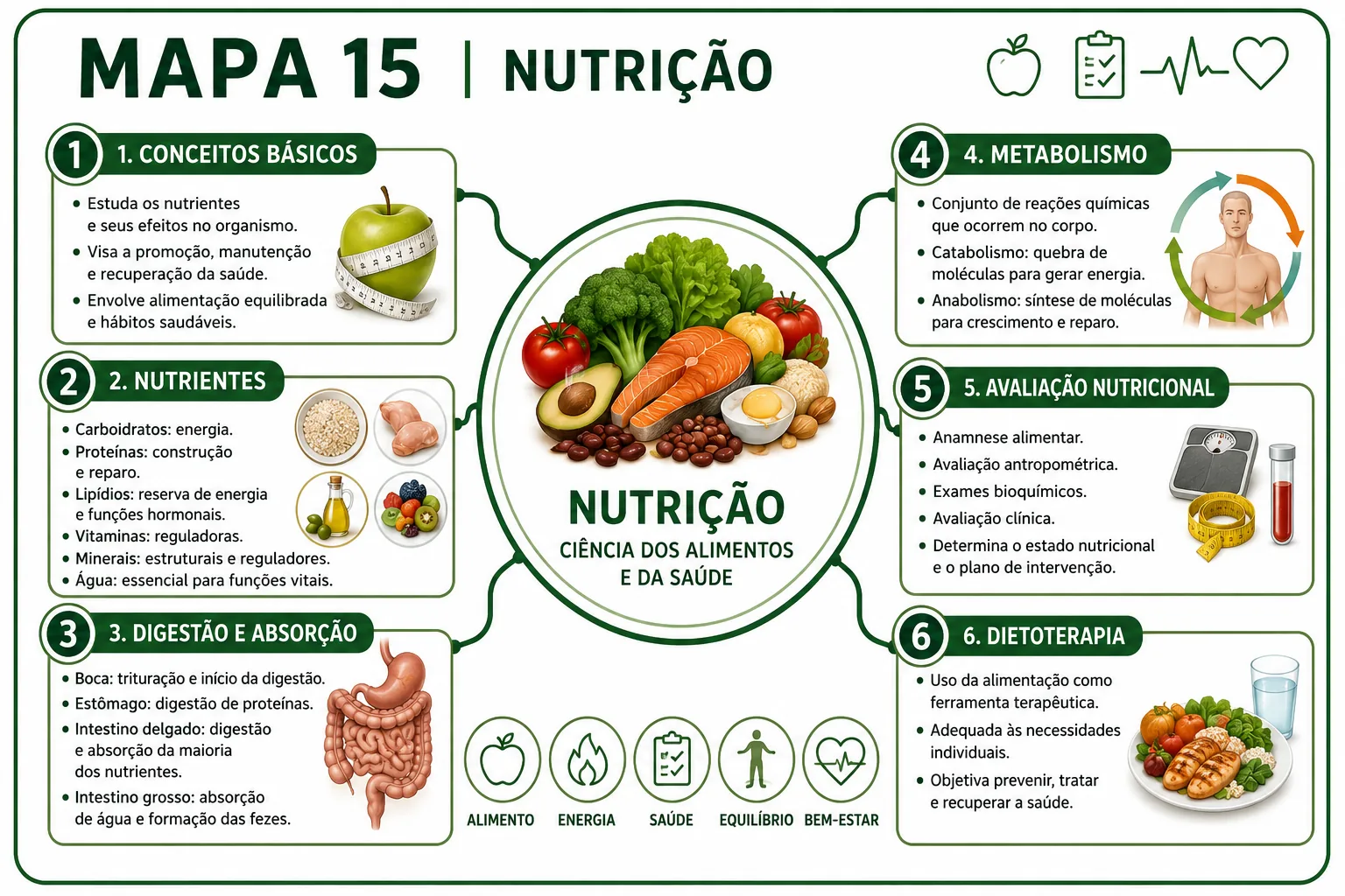 Mapa mental de Nutrição — Visão Geral